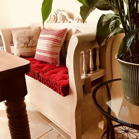Stylovy Historicky Apartman Se Zahradou V Srdci Moravy Pobliz Kromerize A Olomouce Kojetin
