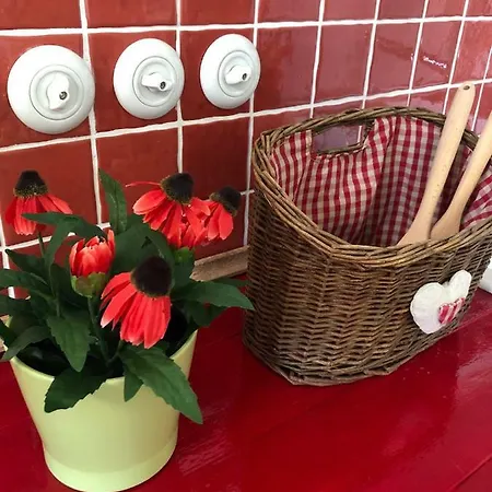 Apartament Stylovy Historicky Apartman Se Zahradou V Srdci Moravy Pobliz Kromerize A Olomouce Kojetín